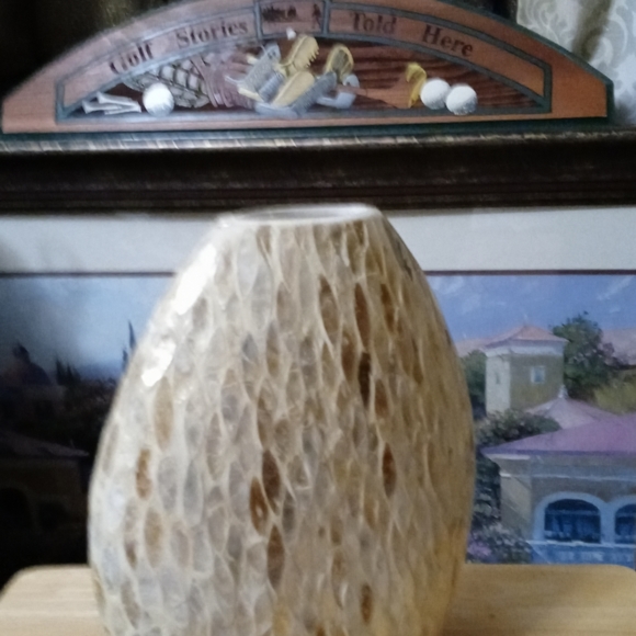 🏤💐Fire Fly Mother of pearl vase🍊🍎🍋🏞Size 12"×11",A Nice Gift Item.🛍🏕🏖🏜 - Picture 7 of 7
